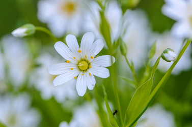 Similar image 12592926