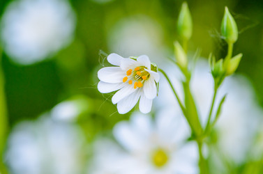 Similar image 12592927