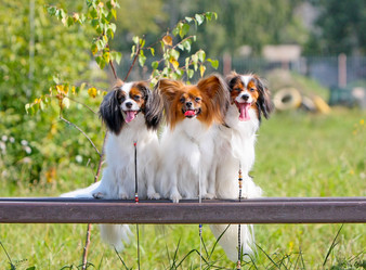 Similar image 12582397