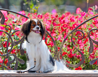 Similar image 12582399