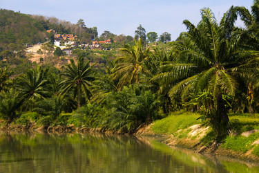 Similar image 12588518