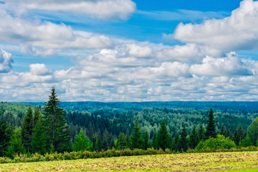 Similar image 12582685