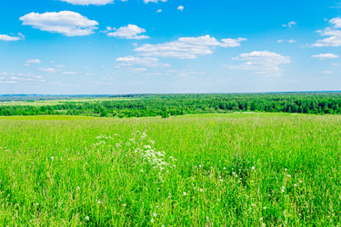 Similar image 12582687