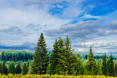 Similar image 12582691