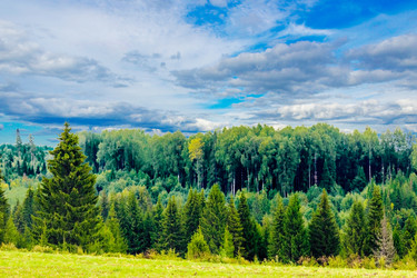 Similar image 12582692