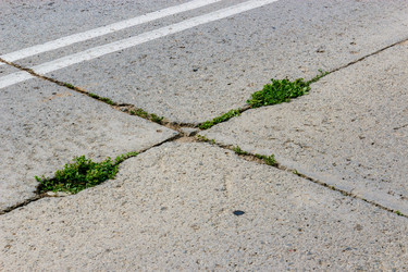 Similar image 12582694