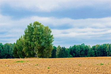 Similar image 12582696