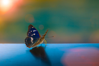 Similar image 12588326