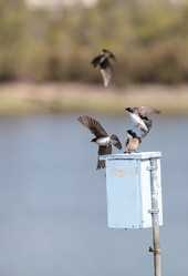 Similar image 12596734