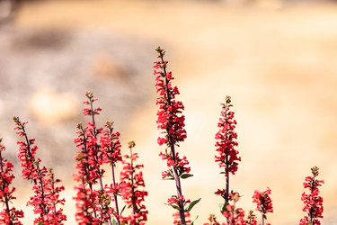 Similar image 12596751