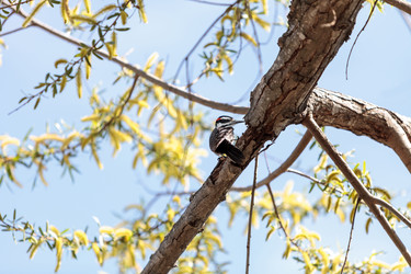 Similar image 12596757