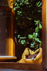 Similar image 12592786