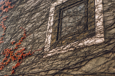 Similar image 12592788