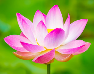 Similar image 12686239