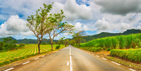 Similar image 12686578