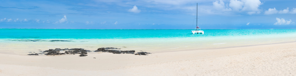 Similar image 12686582