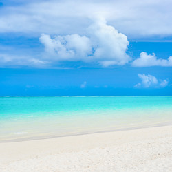 Similar image 12686583