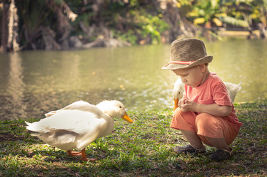 Similar image 12686268