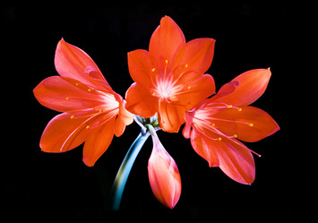 Similar image 12592994