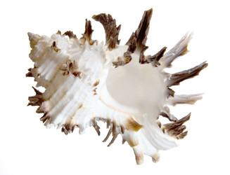 Similar image 12592996