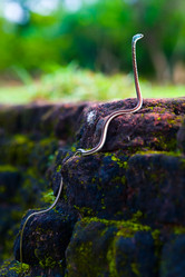 Similar image 12592998