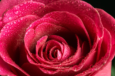 Similar image 12584147