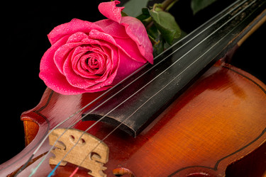 Similar image 12584636