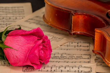 Similar image 12584637