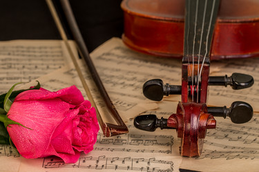 Similar image 12584148