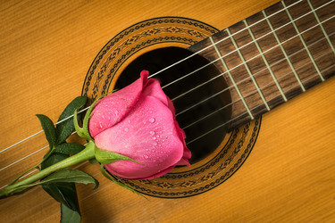 Similar image 12584643