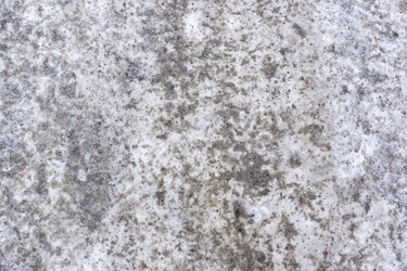 Similar image 12584616