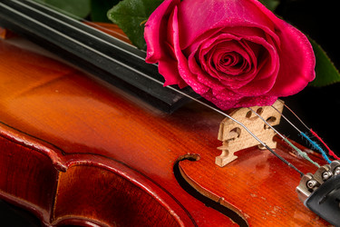 Similar image 12594993