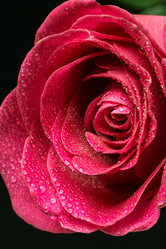 Similar image 12594997