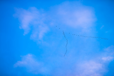 Similar image 12688997