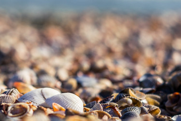 Similar image 12592796