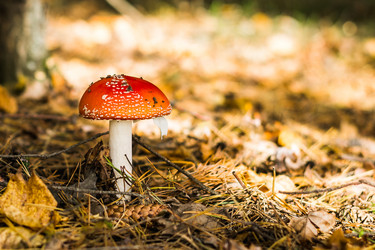 Similar image 12592797