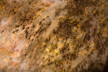 Similar image 12593006