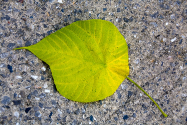 Similar image 12593013