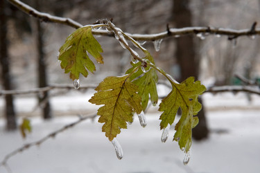 Similar image 12593033