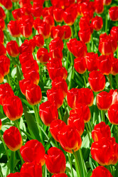 Similar image 12595003