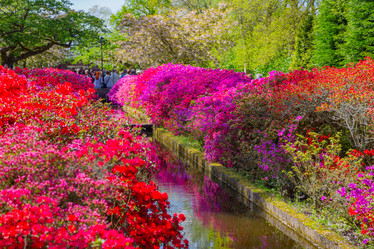 Similar image 12595010