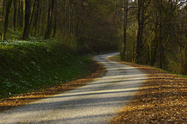 Similar image 12592803