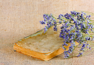 Similar image 12594986