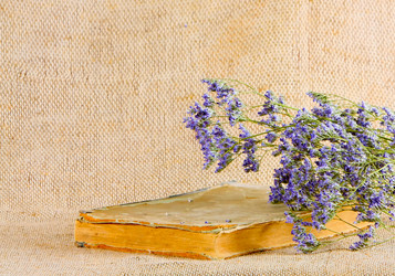 Similar image 12594987