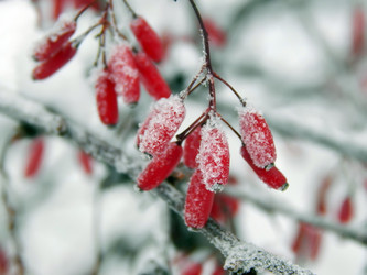 Similar image 12688105