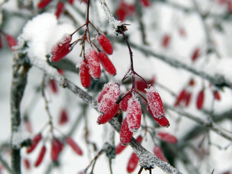 Similar image 12688106