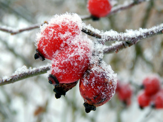 Similar image 12688019