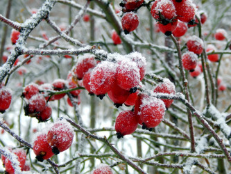 Similar image 12688021