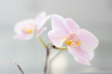 Similar image 12618533