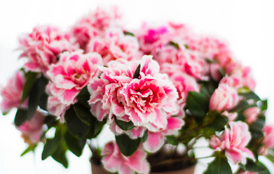 Similar image 12618555